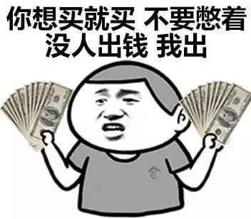 年底了买辆车当年货吧,毕竟购置税政策就要结束了