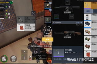  cf让人懵逼的吃鸡模式降临,玩家整个人都不好