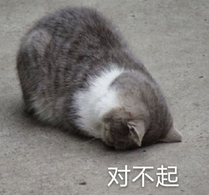  一大波猫咪表情包,快收藏吧