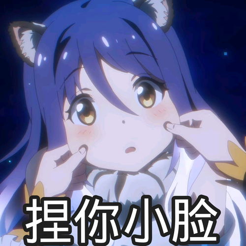  表情包第17弹公主连结