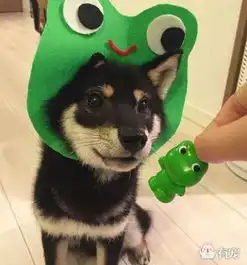  当正太犬被主人cosplay了以后