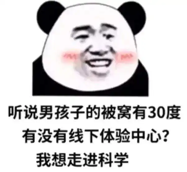  熊猫头表情包把手头上的事情放一放,该给我准备圣诞礼物了