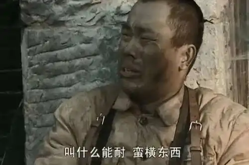  亮剑表情包,二营长,你他娘的意大利炮呢文末附赠李云龙语音包