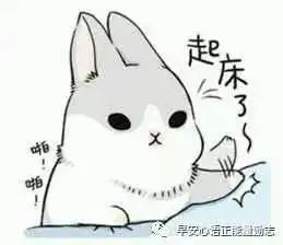  早安表情包微信早安表情