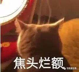 继续摆烂表情包图片猫咪