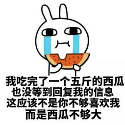  虞美人盛开的山坡