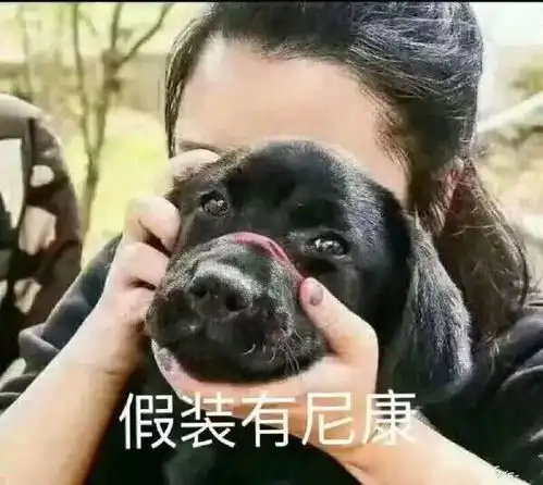  这些表里不一的人......