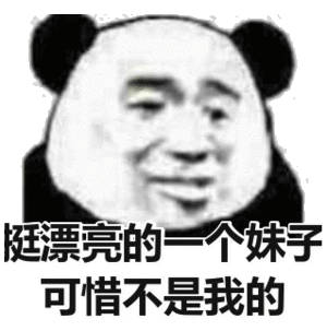  华有菜熊猫头群聊表情包华有群聊熊猫表情