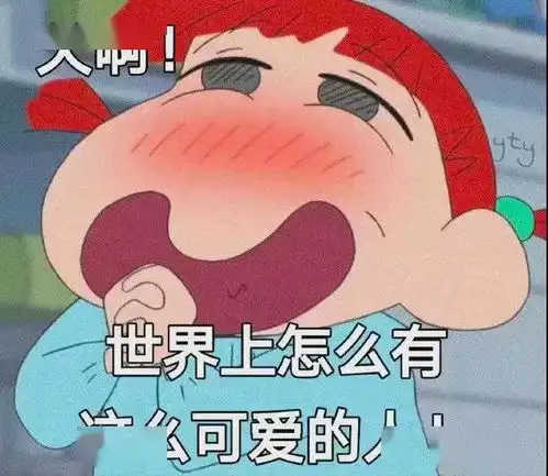 表情包吵不过你,但喜欢你 表情包吵不过你,但喜欢你