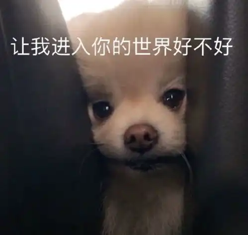  你家臭宝无法拒绝的憨憨表情包