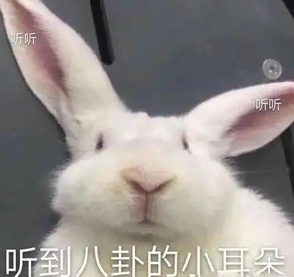 对于有匪预告的吐槽,一心搞相亲的峨媒山不为所动 对于有匪预告的吐槽,一心搞相亲的峨媒山不为所动