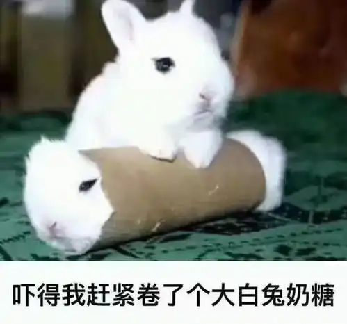 18岁时的你们,蛇精病缠身 18岁时的你们,蛇精病缠身