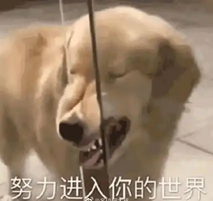 舔爷表情包沙雕