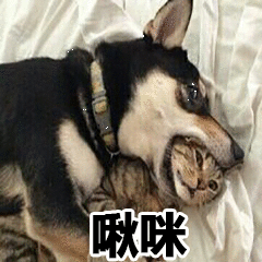  眼线怎么画最好看五种超实用眼线画法,第一种最适合新手哦
