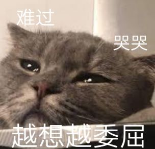  我不服凭什么美礼依芽和龚琳娜的花海会输