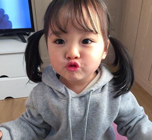  我的收藏夹