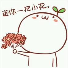  给花花的表情包送你一朵花