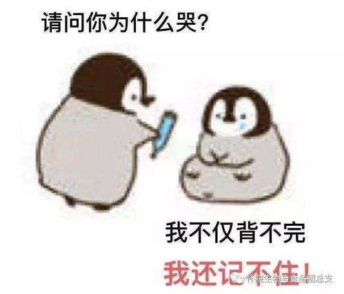  收好机小仪送你期末复习秘籍