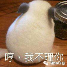 你消失了吗表情包微信