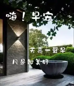  2019清晨的第一声问候,暖心的早上好动态表情图片