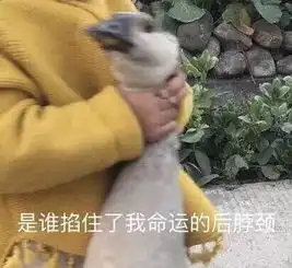  老天疯了海宁创下2个历史记录天气马上反转还有更惊人的...