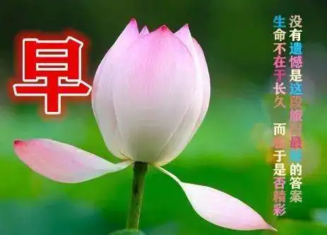  8月28日最漂亮早上好动态表情图片大全,早晨好动图美图大全