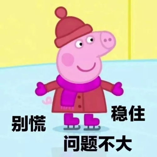  惊我只花了50块,就买到了香奈儿
