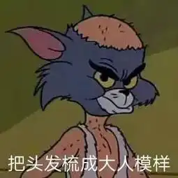  一条全是聊天常用的表情包,都是新图