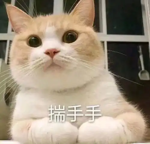  小仙女专用表情包