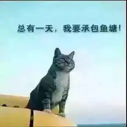  他炒外汇曾经爆仓6次,2017年,他反败为胜,获利18万,炒汇必看