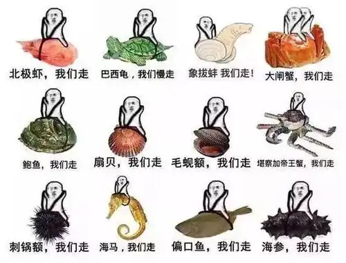 强颜欢笑表情包皮皮虾