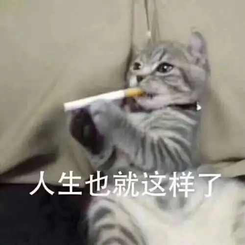  想谈恋爱
