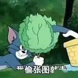 表情包,用它  表情包,用它