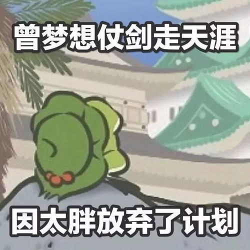  我的呱娃子为啥还不回家难道被小蝌蚪当成了妈妈