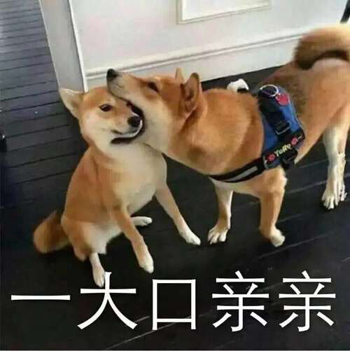  真心觉得那些相册放自拍的