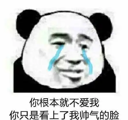  你根本就不爱我微信熊猫头表情包