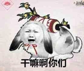  剑网三万花松鼠表情包