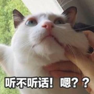 小猫唱歌表情包