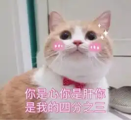  运动会闭幕式你们的风采,都在这篇推送里