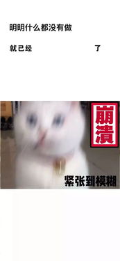 套路表情包明明什么都没做