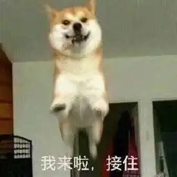一人做事一人当表情包舔