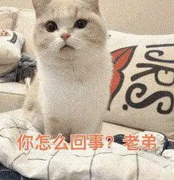  表情包图片大全微信聊天表情包大全