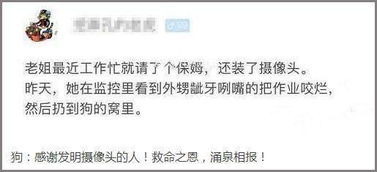  搞笑gif图片笑话段子感情淡了我加点盐,感情苦了我加点糖