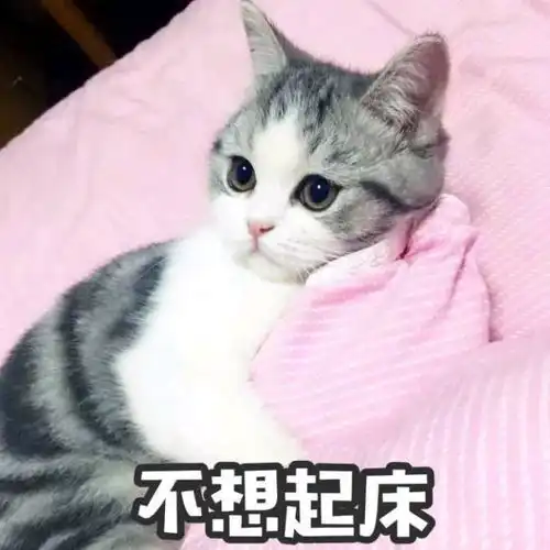 可爱想表情包开心一刻