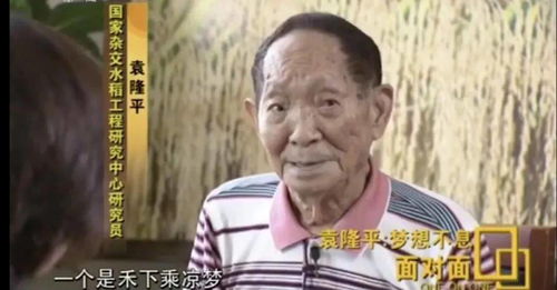  今天,袁隆平90岁生日让我们跟着李子柒,看水稻的一生