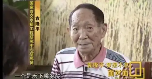  今天,袁隆平90岁生日让我们跟着李子柒,看水稻的一生