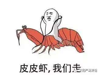  皮皮虾,我们走从表情包说网络话语空间