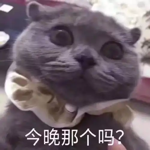  表情包11.24