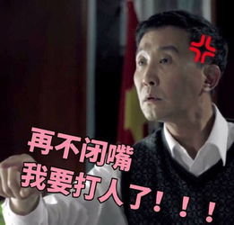 葛优表情包动图暴击