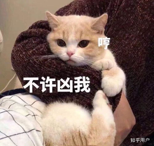 我回来了表情包可爱瓦妮莎